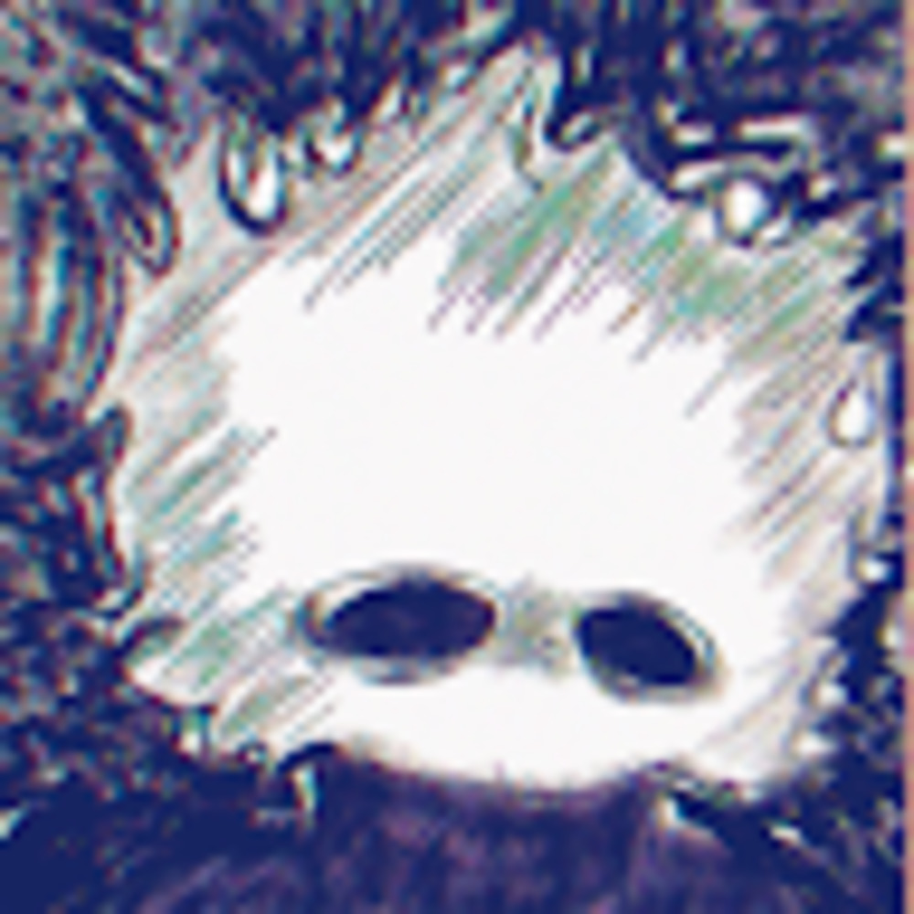 Meet your Posher, Andilet